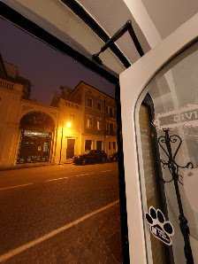 Immagine Divi e Divine di Frison Laura 4