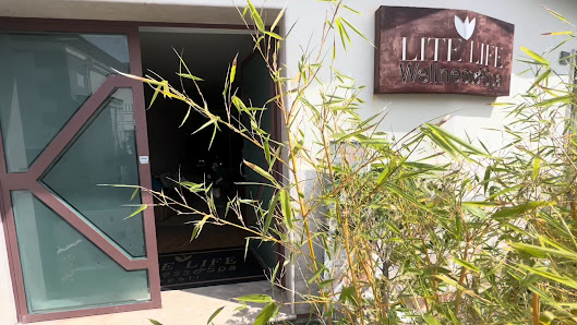 Immagine Lite Life 3