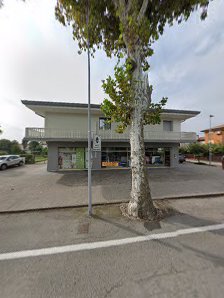 Immagine Gianduzzo Carmen 1