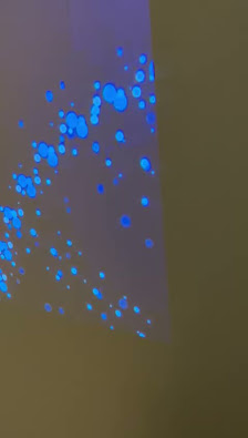 Immagine Marco Post Nocera 4