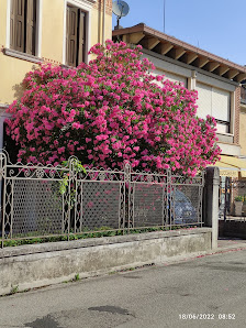 Immagine Centro Estetico Parrucchieri Malisan Di Paolo Malisan & C. Snc 1