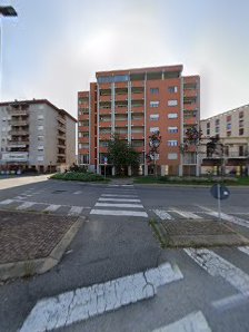 Immagine El Girasol Di Celis Marisel Josephine 2