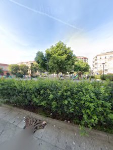 Immagine Addio Peli Sl 2