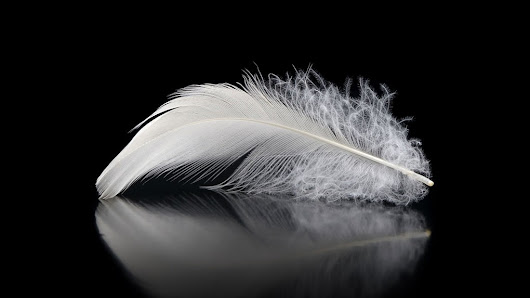 Immagine Estetica Nagi di Marino Miriam 1