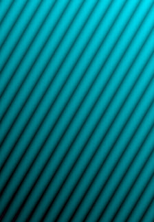 Immagine TINTARELLA LUCERA 1