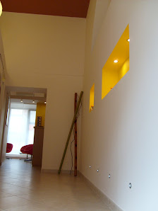 Immagine TINTARELLA LUCERA 4