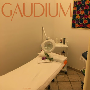 Immagine Gaudium la Porta del Benessere 2