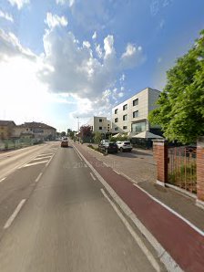 Immagine SKN Center 1