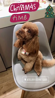 Immagine Atelier Esthetique Ravenna 3