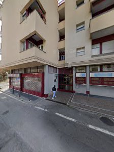 Immagine Le Vipere 2