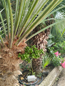 Immagine Massaggi Forever D'Or di Magdalena Aksamit 4