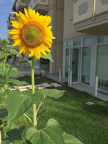 Immagine Carol Estetica 2