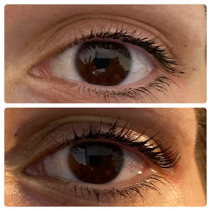 Immagine New Sun Mestre 3