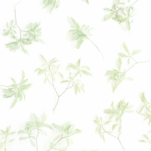 Immagine ‍ JC Hair & Body - Parrucchiere ed Estetista 3