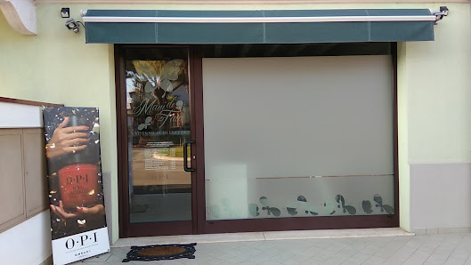 Immagine Mani di Fata 2