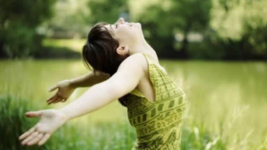 Immagine Serendipity Centro Olistico 1