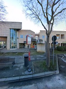 Immagine Serendipity Centro Olistico 4