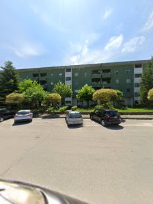 Immagine Armonia di Bellezza 2