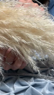 Immagine Beauty Room 2