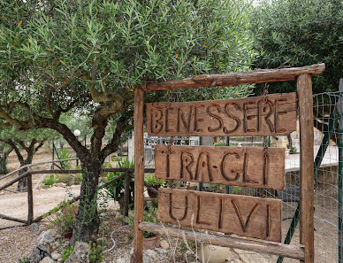 Immagine Benessere tra gli ulivi 1