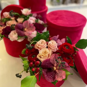 Immagine Armonia Estetica e Benessere 3