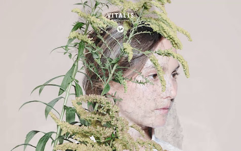 Immagine Bottega Dei Sensi 3