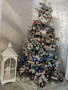 Immagine ‼️ TRASFERITO IN VIA POSTUMIA DI CAMINO 29 1