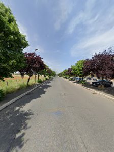 Immagine Il Sogno Estetica 2