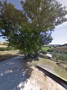 Immagine Jolie Massaggi 2