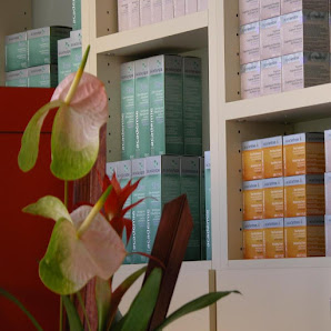 Immagine Centro Estetico Viso Frabetti Sofia 1