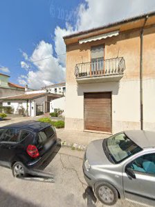 Immagine Coletta Elena 1