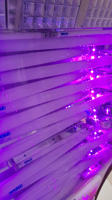 Immagine Il Re Sole Centro di Abbronzatura ed Estetica 2