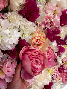 Immagine Il salotto di Alessia 1