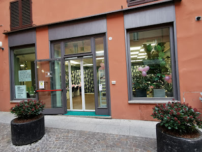 Immagine Angel Fashion 2