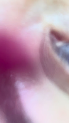 Immagine Centro e Studio Estetico di Annabel Brenca 3