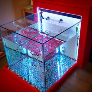 Immagine Urban Essence 1