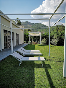 Immagine Agave Studio 4