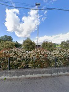 Immagine Agave Studio 5