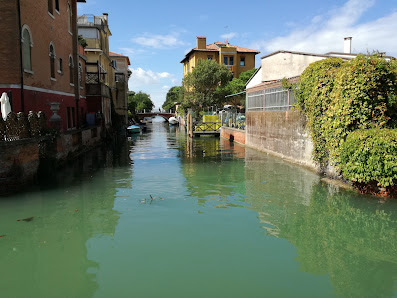 Immagine Oasi Di Basilio Mirta 1