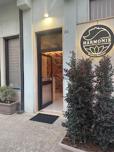 Immagine Harmonie di Maria Leone 4