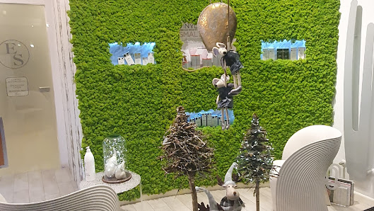 Immagine Estetica Samsara 2