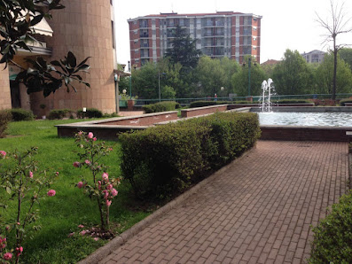 Immagine Dream Estetica 2