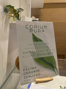 Immagine Studio Maryen 3