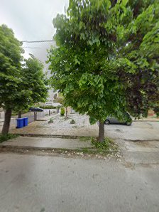 Immagine Basile Tiziana Maria 2