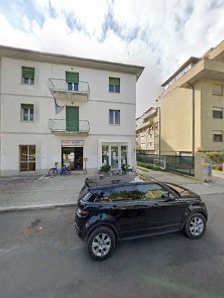 Immagine Fairlady Estetica 4