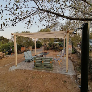 Immagine Bellezza Globale Di Ceragioli Elena 1