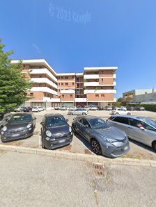 Immagine White Lab Bassano 5