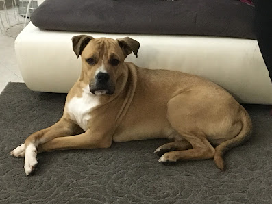 Immagine Centro Estetico Elena Di Francesca Usai 2