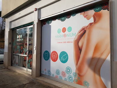 Immagine Harmonium Estetica 2