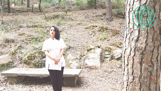 Immagine Harmonium Estetica 3